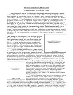 Ascarids: Who they are and What they Mean
