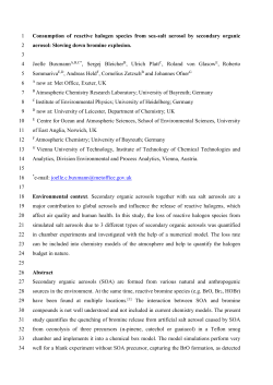 Consumption of reactive halogen species from sea-salt