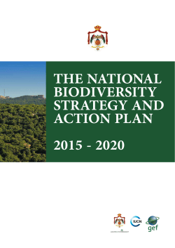 CBD Strategy and Action Plan
