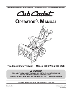 Cub Cadet 31BH95SV710 Manual