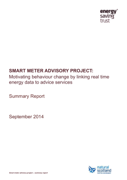 Smart meter advisory project phase 2 summary