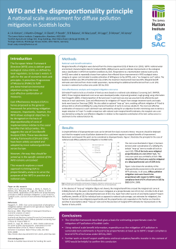 Julia Martin-Ortega poster