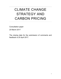 Climate change strategy and carbon pricing