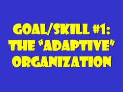Adaptive Organization