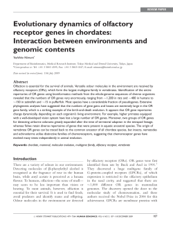 Evolutionary dynamics of olfactory receptor
