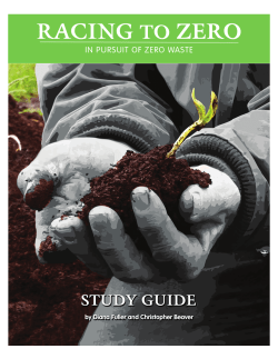 RACING TO ZERO - Study Guide