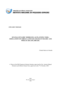 SPATIAL DYNAMIC MODELING AS PLANNING TOOL