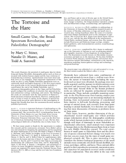 The Tortoise and the Hare