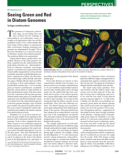 Seeing Green and Red in Diatom Genomes