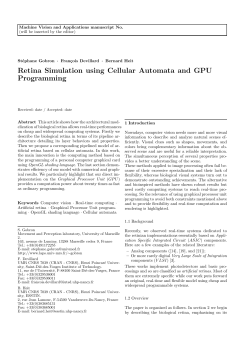 Retina Simulation using Cellular Automata and