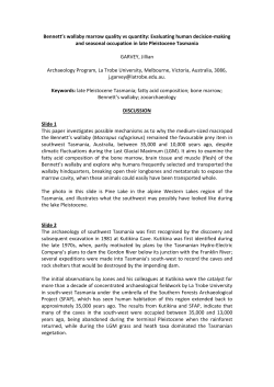 Bennett`s wallaby marrow quality vs quantity: Evaluating human