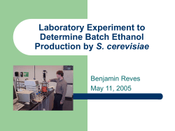 Laboratory Experiment to Determine Batch Ethanol