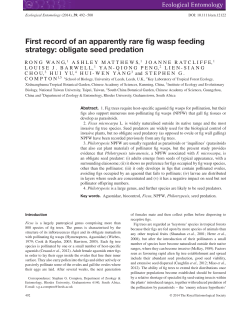 First record of an apparently rare fig wasp feeding strategy: obligate
