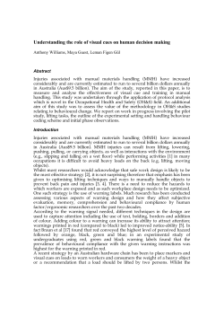 Understanding the role of visual cues on human decision making