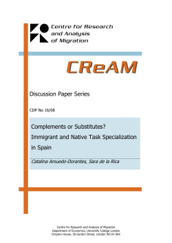Discussion Paper Series Complements or Substitutes? Immigrant
