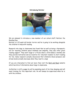 Ratcher - Plumpton School