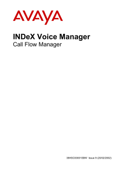 INDeX Call Flow Manager