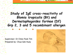 Study of IgE cross-reactivity of Blomia tropicalis (Bt)