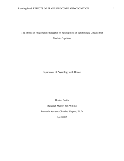 The Effects of Progesterone Receptor on Development of