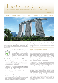 The Game Changer - Marina Bay Sands