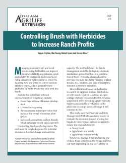 Controlling Brush with Herbicides to Increase Ranch Profits