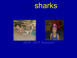 tigersharks swimming