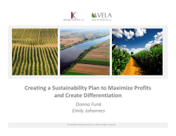 Creating a Sustainability Plan to Maximize Profits and Create