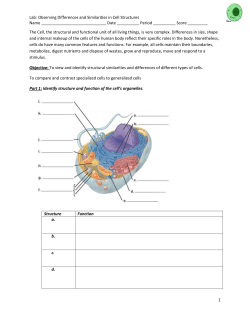 Cell Lab