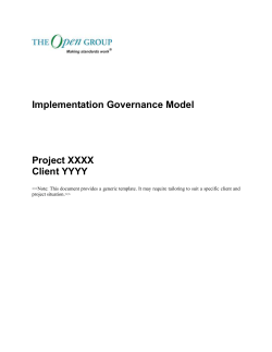 Template - Implementation Governance Model