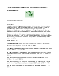 Plants and How They Grow