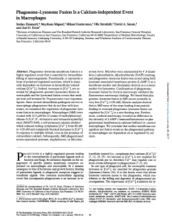 Phagosome-Lysosome Fusion Is a Calcium