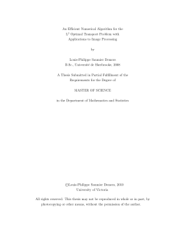 An Efficient Numerical Algorithm for the L2 Optimal