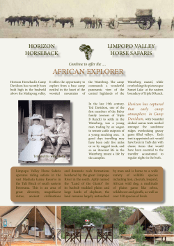 african explorer - Horizon Horseback Adventures