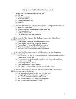 Quiz Questions Cell Membrane Structure Activity _____ 1. What is