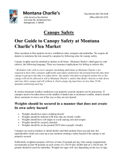 Canopy Weights - Montana Charlie