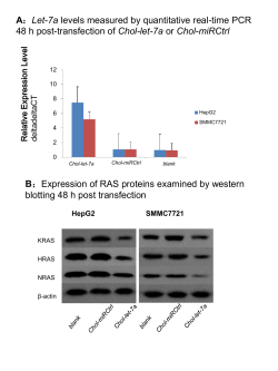 Chol-let-7a - BioMed Central