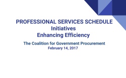 PROFESSIONAL SERVICES SCHEDULE Initiatives Enhancing