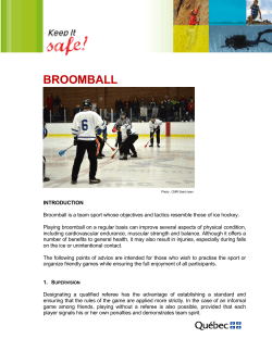 Broomball - Minist&egrave;re de l`&Eacute;ducation et de l`Enseignement sup&eacute;rieur