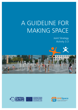 a GUIDeLIne FOr MaKInG spaCe