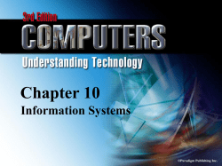 Chapter 10 Information Systems