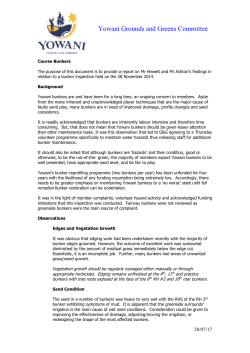 GG Paper 20141128 Bunker Audit