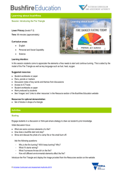 The Fire Triangle and exploring what a fire needs to burn
