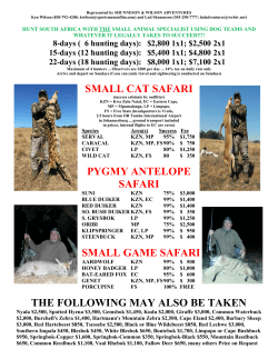 small cat safari pygmy antelope safari small game safari the