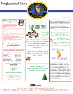 Christmas tree safety tips
