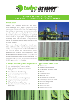 Introduction A unique solution against slag build up Typical Tube