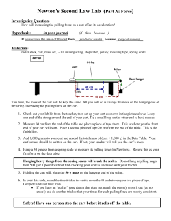 Newton`s Second Law Lab