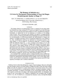 The Strategy of Infection as a Criterion for Phylogenetic