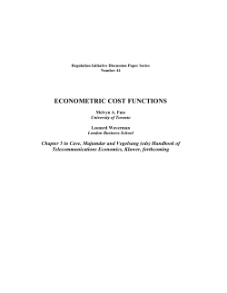 Econometric Evidence on Scale, Scope and the Presence of Natural
