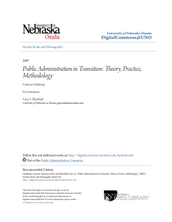 Public Administration in Transition: Theory