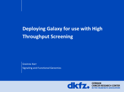 Template 1 englisch Version a (front